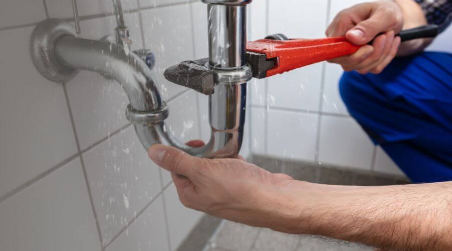 Leak Detection Services in Springbrook, WI